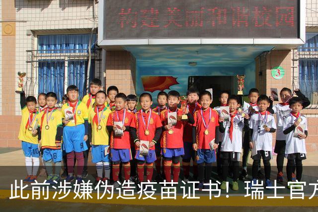 此前涉嫌伪造疫苗证书！瑞士官方：扎卡和恩博洛解禁回归国家队