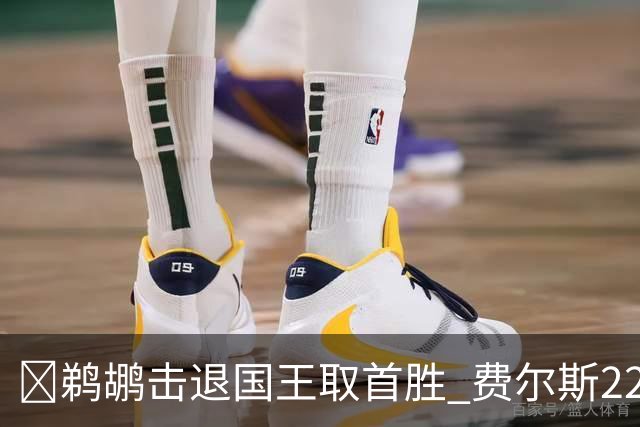 🏀鹈鹕击退国王取首胜 费尔斯22+8+13 锡安22+6 阿卡夫34+6+13
